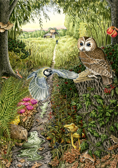 Woodlands Owl