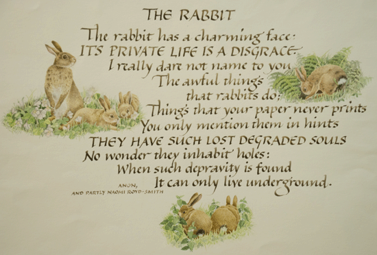 The Rabbit