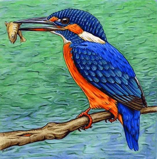 Kingfisher