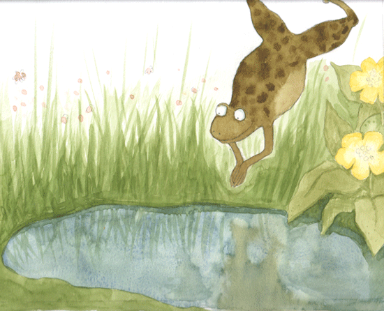 Diving frog