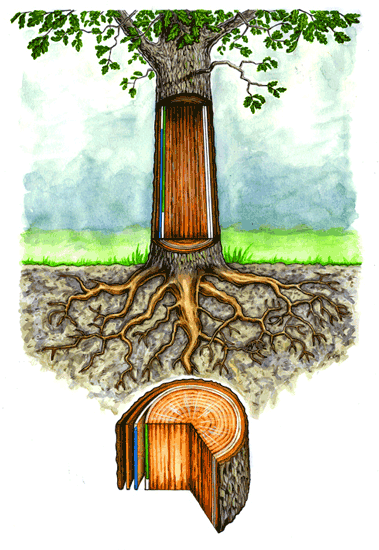 Tree cross section