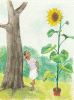 Girl and sunflower